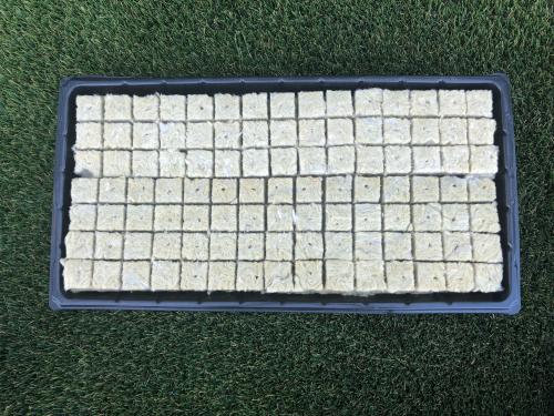 Rockwool Cubes Hydroponics: Factory - sourced Rockwool Cubes for Hydroponics, Premium Quality, Well - designed, Strong Supply at Low Costs